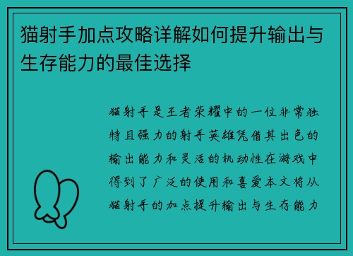 猫射手加点攻略详解如何提升输出与生存能力的最佳选择